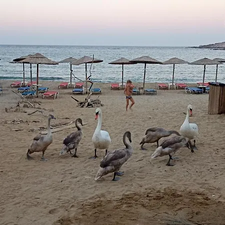 Ateni Beachfront Ateni Arna